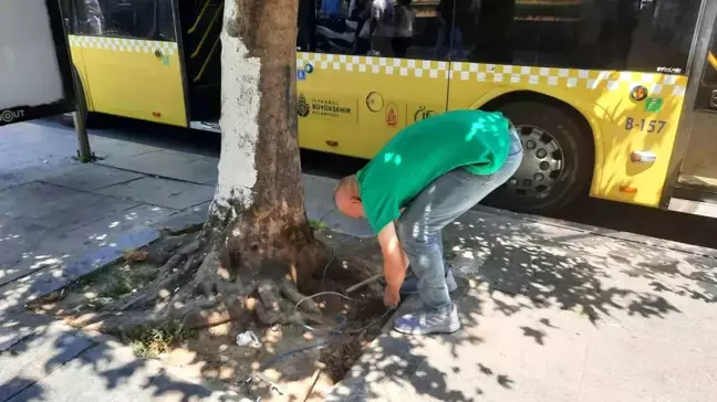 İstanbul Fatih'te Açıkta Bulunan Elektrik Kabloları Tedirginlik Yarattı