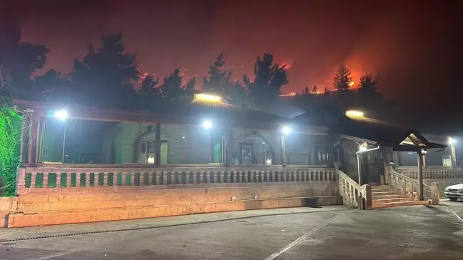 Şanlıurfa'da ağaçlık ve otluk alanda çıkan yangın söndürüldü