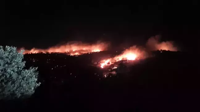 Mardin'de ağaçlık alanda çıkan yangın büyüyor