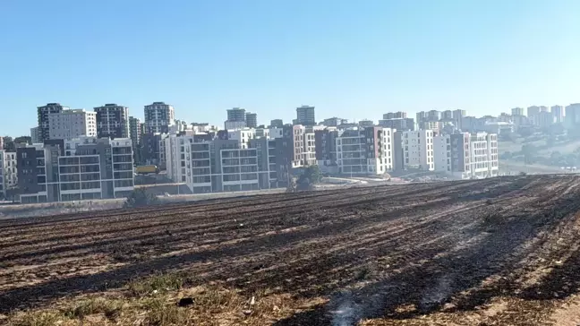 Çorlu'da Anız Yangını Kontrol Altına Alındı