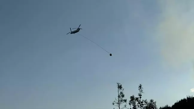 Kahramanmaraş'ta Orman Yangını: Havadan ve Karadan Müdahale Devam Ediyor