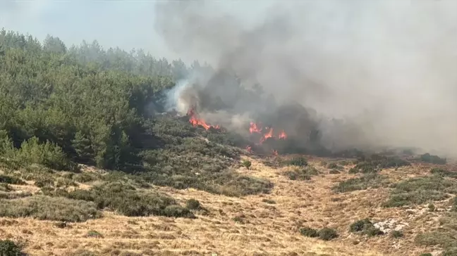 Antakya'da Orman Yangınına Havadan ve Karadan Müdahale Başlatıldı