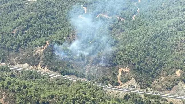 Muğla'da Orman Yangınına Havadan ve Karadan Müdahale