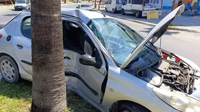 Manavgat'ta Otomobilin Palmiyeye Çarpması Sonucu 2 Kişi Yaralandı