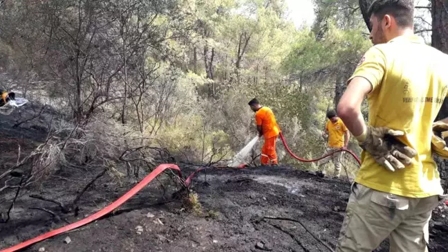 Antalya'da Orman Yangını Kontrol Altına Alındı