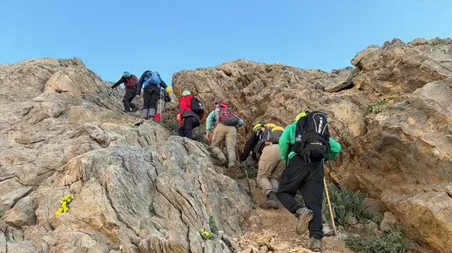 Hakkari'de Dağcılar Cilo Dağı'na Tırmandı