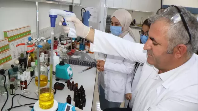 Iğdır Üniversitesi Laboratuvarlarında Yöreden Yetişen Bitkilerden 45 Ürün Üretiliyor