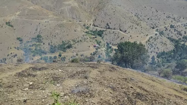 Çüngüş'teki Orman Yangını Kontrol Altına Alındı