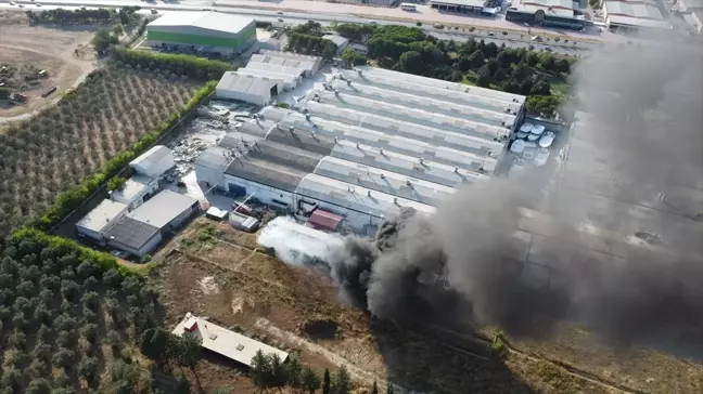 Bursa'da Yat Üretim Fabrikasında Yangın Çıktı