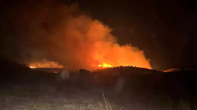 Mardin'de Anız ve Ot Yangını Kontrol Altına Alındı