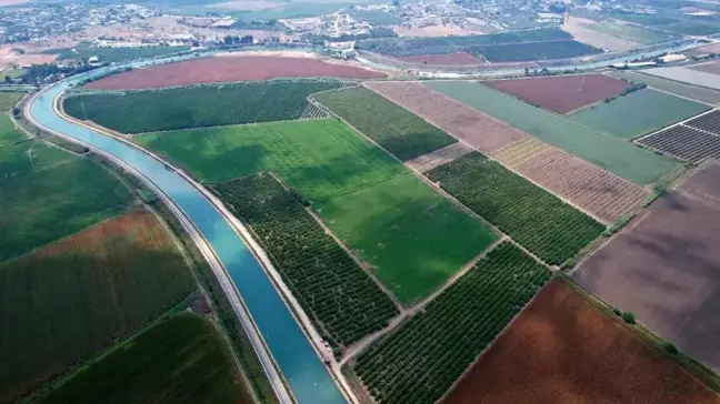 Adana'da Kuraklık Tarımsal Üretimi Olumsuz Etkiliyor