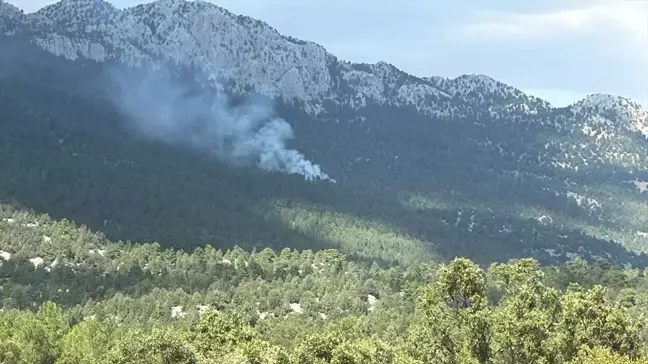 Antalya'nın Akseki ilçesinde ormanlık alanda çıkan yangına müdahale