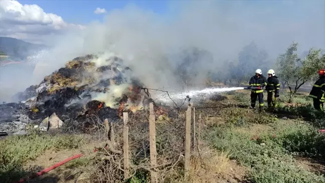 Bursa'da çiftlikte çıkan yangın söndürüldü