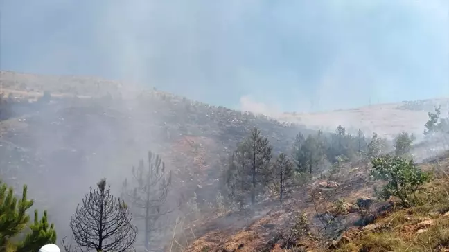 Elazığ'ın Keban ilçesinde çıkan yangın kontrol altına alındı