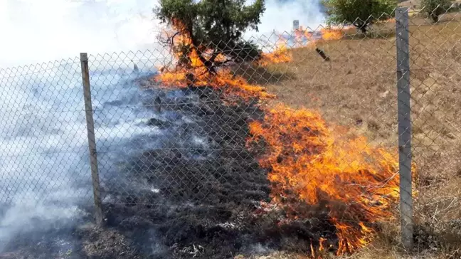 Mudurnu'da Anız Yangını: 4 Tarla ve Mezarlık Küle Döndü