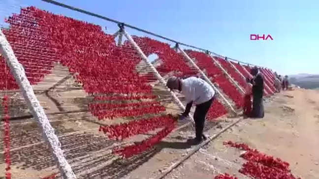 Gaziantep'te Kurutmalık Sebzelerin Üretimi Artıyor