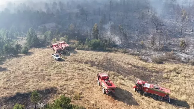 Konya'nın Ilgın ilçesinde çıkan orman yangını kontrol altına alındı