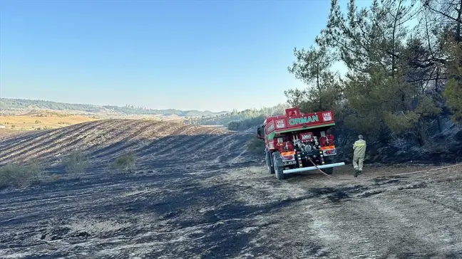 Adana'da Ormanlık Alanda Çıkan Anız Yangını Kontrol Altına Alındı