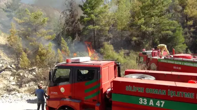 Silifke'de çıkan yangın kontrol altına alındı