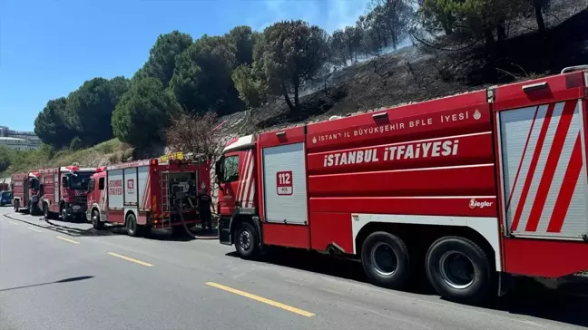 Başakşehir'de çıkan yangın kontrol altına alındı