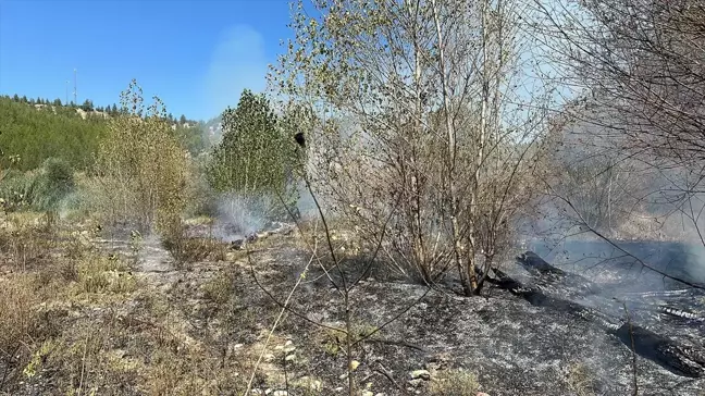 Burdur'da Ormanlık Alanda Çıkan Ot Yangını Söndürüldü