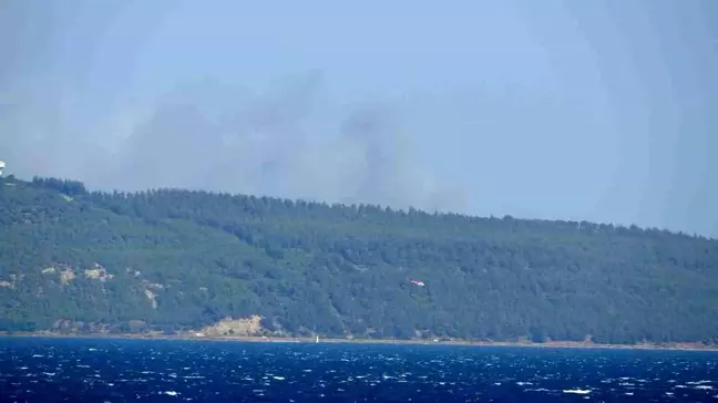 Çanakkale'nin Eceabat ilçesinde orman yangını çıktı