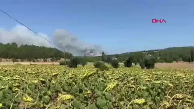 Çanakkale'de Orman Yangını: 57. Alay Şehitliği ve Conkbayırı Ziyarete Kapatıldı