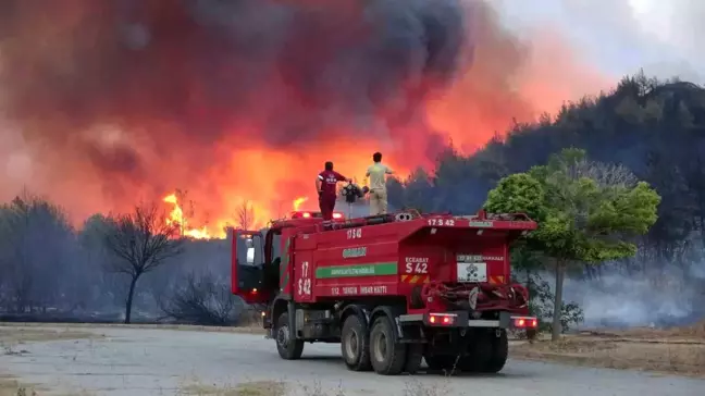 Çanakkale'de Büyükanafarta köyü yakınlarında orman yangını