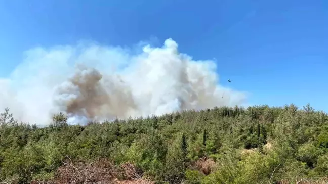 Çanakkale'deki orman yangınına havadan ve karadan müdahale sürüyor