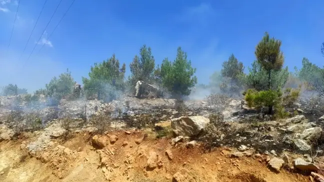 Silifke'de Orman Yangınları Kontrol Altına Alındı