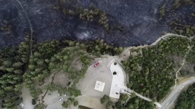 Çanakkale'deki orman yangını dron ile görüntülendi