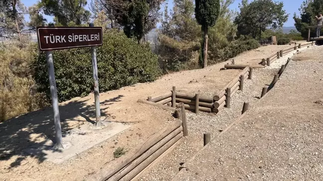 Çanakkale Savaşları Gelibolu Tarihi Alanı'nda yangın sonrası çalışmalar başlıyor