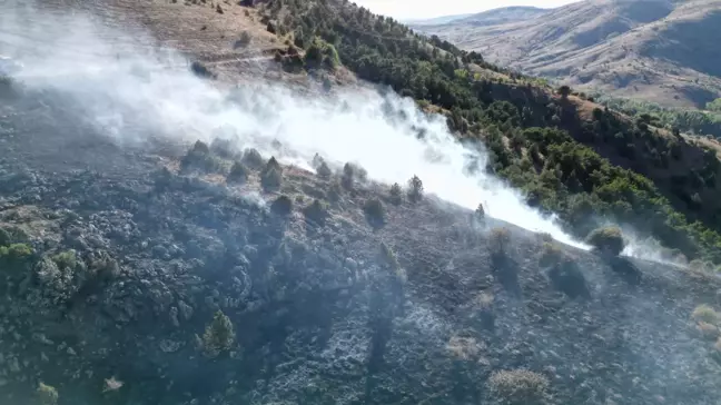 Sivas Yıldızeli'nde Orman Yangını Kontrol Altına Alındı