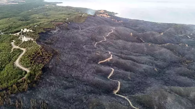 Çanakkale'de Büyük Orman Yangını Kontrol Altına Alındı