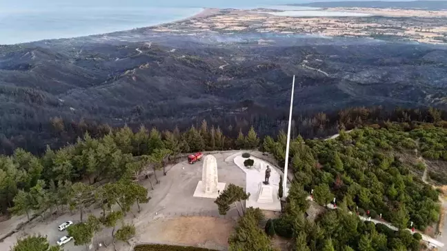 Çanakkale Savaşları'nın yaşandığı Gelibolu Yarımadası'nda orman yangını