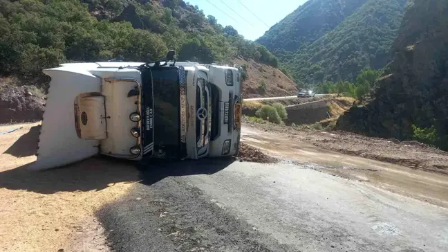 Tunceli'de Buğday Yüklü Tır Devrildi, 1 Kişi Yaralandı