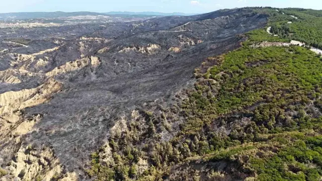 Çanakkale Savaşları'nın yaşandığı Tarihi Gelibolu Yarımadası'nda Yangın Kontrol Altına Alındı