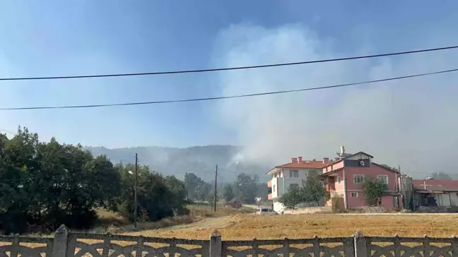 Bolu'da çıkan orman yangınında 2 kişi tutuklandı