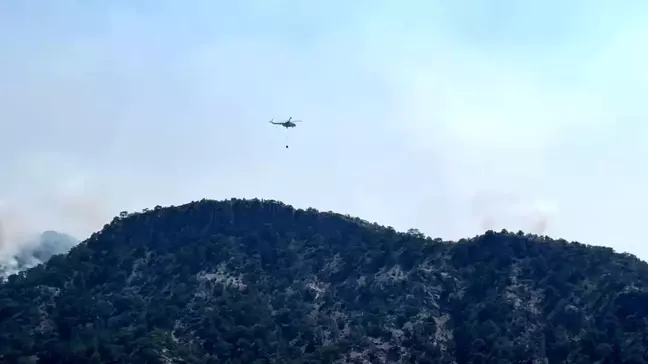 Bolu'da Orman Yangınlarına Müdahale Devam Ediyor