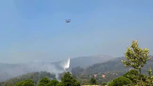 Aydın'da 19 Saattir Devam Eden Orman Yangını Söndürülmeye Çalışılıyor