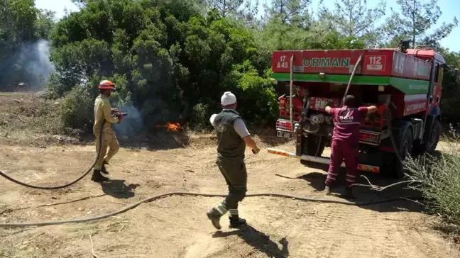 Çanakkale'de Orman İşletme Şefi Yangın Sonrası Görevine Devam Etti