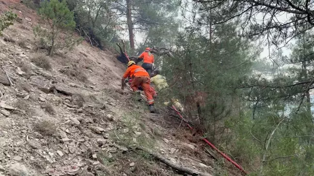 Göynük'teki Orman Yangınına Gönüllülerden Destek