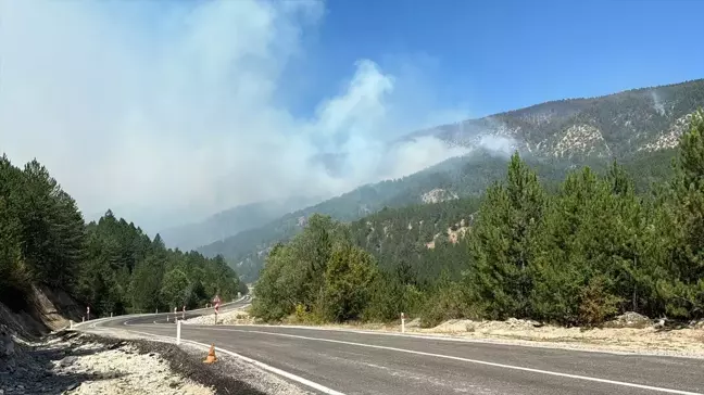 Karabük'ün Ovacık ilçesinde orman yangını devam ediyor