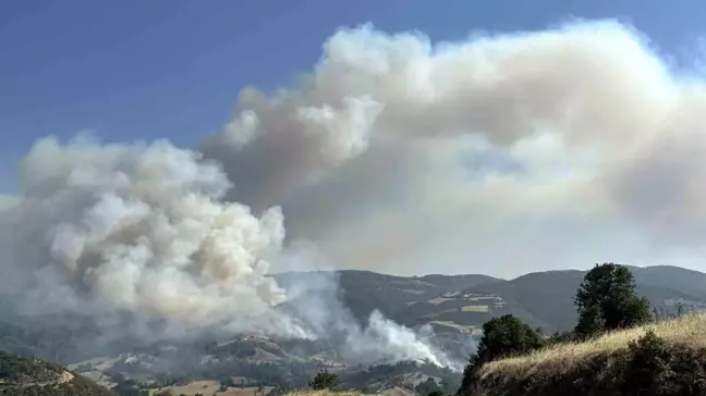 Uşak'ın Eşme ilçesinde yangın çıktı