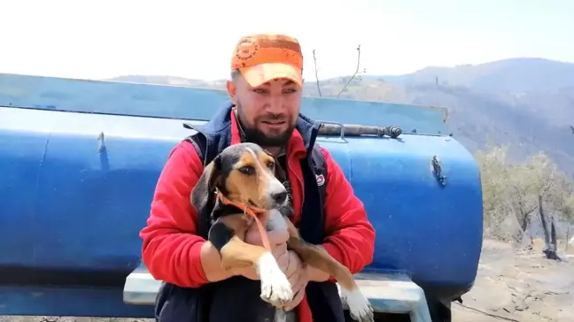 Manisa'da çıkan orman yangınında evini ve tarımsal ürünlerini kaybeden vatandaş köpeğine sarılarak ağladı