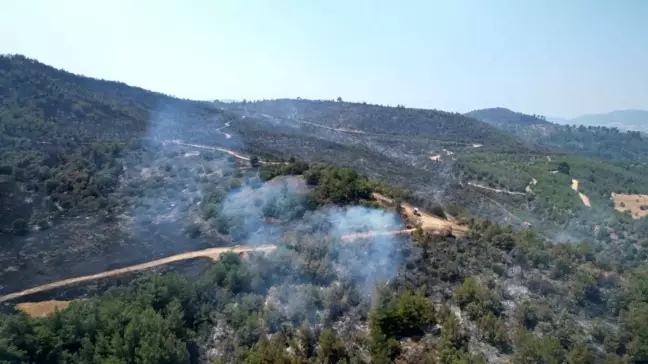 Manisa'da devam eden orman yangınına müdahale sürüyor