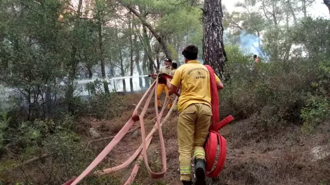 Aydın ve Muğla'da Orman Yangınları: Karayolu Trafiğe Kapatıldı