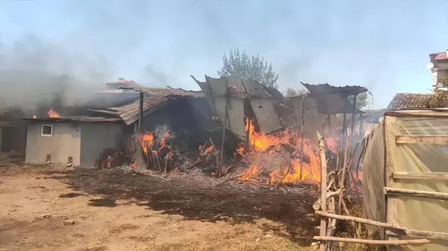 Tokat'ın Erbaa ilçesinde yangın: Ahır ve samanlık zarar gördü