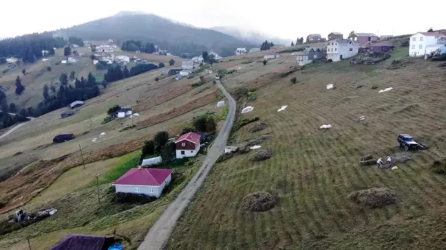 Trabzon'da yaylacılar kış mevsimi için hazırlık yapıyor