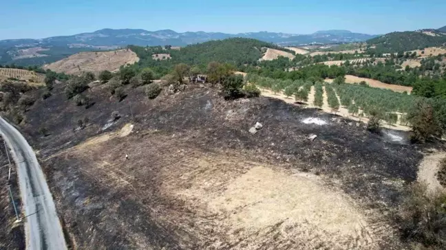 Manisa'daki orman yangını kısmen kontrol altına alındı